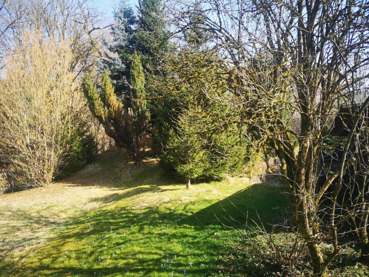 Ferienwohnung Dinkelbergblick Oeflingen Wehr  ภายนอก รูปภาพ